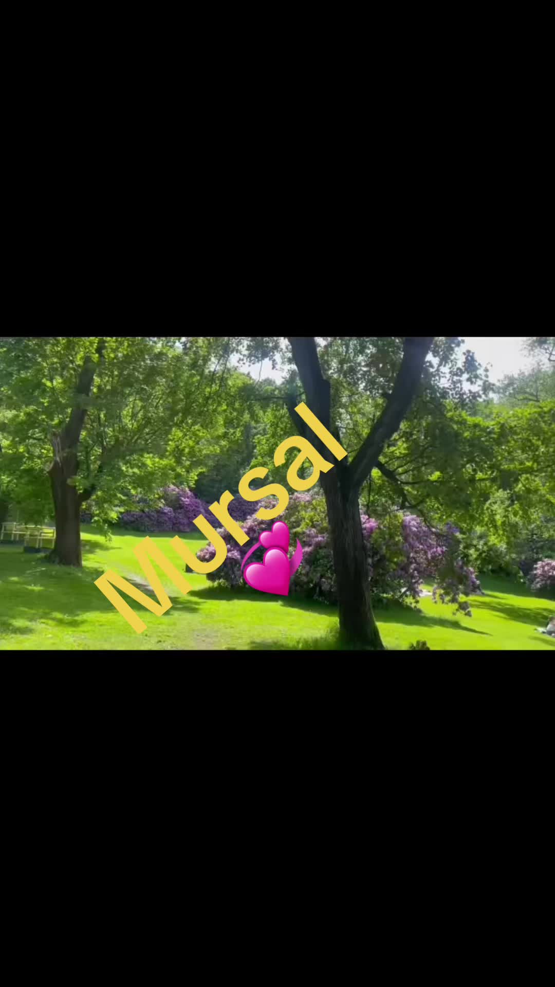 @💫💦«*💥Mursal💥*»💦💫