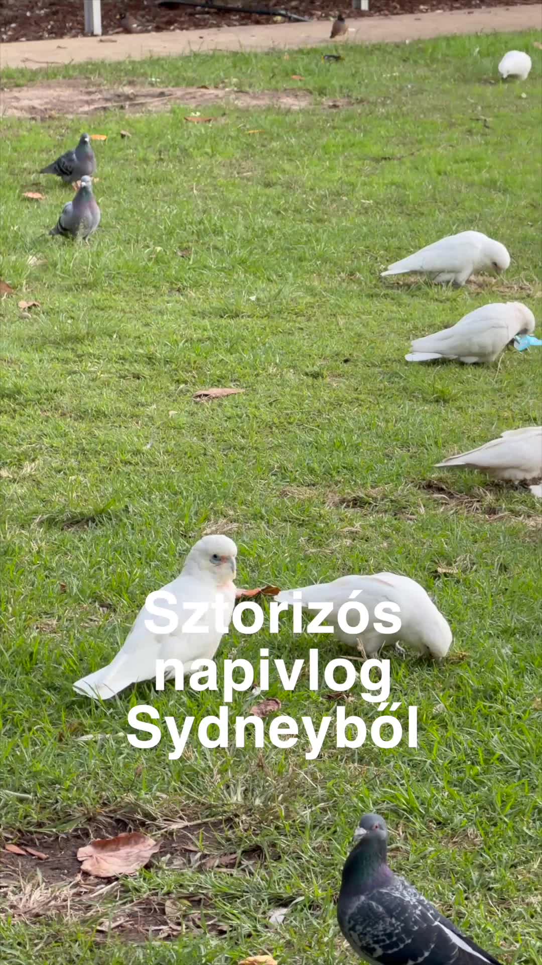 @Leopold | Australia 🇦🇺🐨🦘