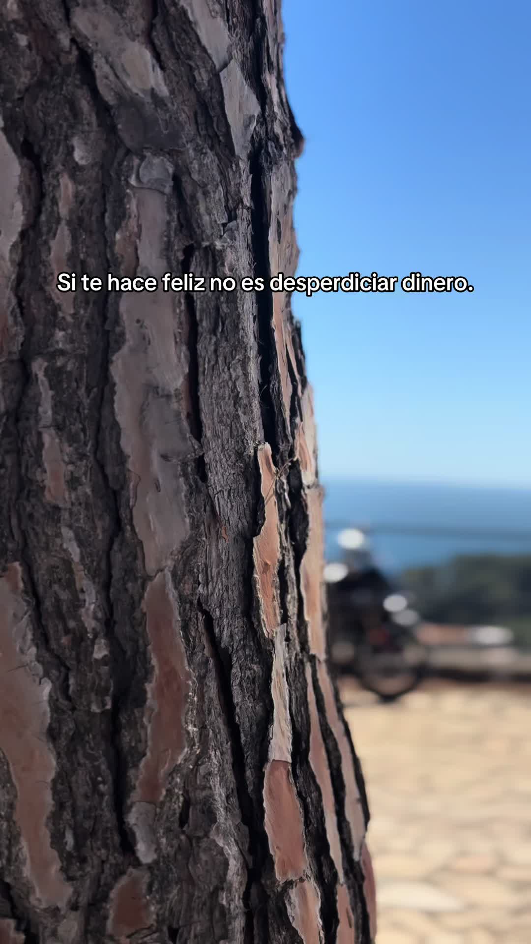 @jesus.fj_