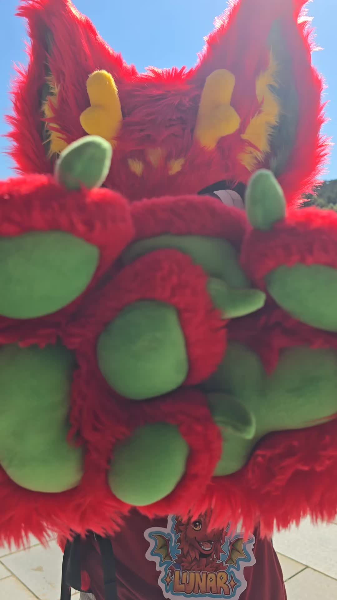 @Lunar🐉