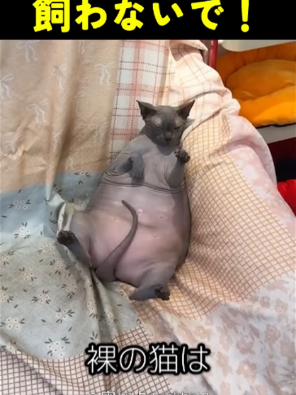 @빅파일
