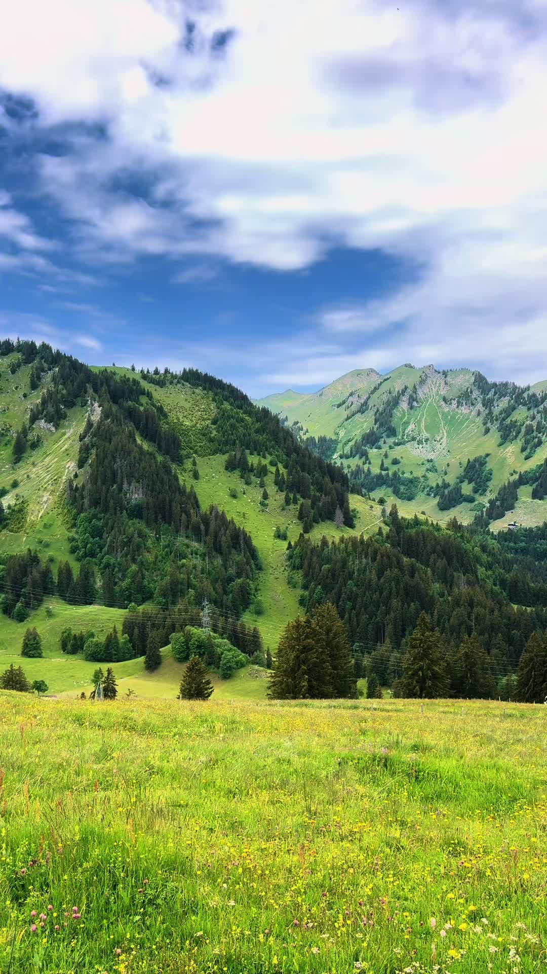 @TatuSwiss🇨🇭❤️🇳🇵