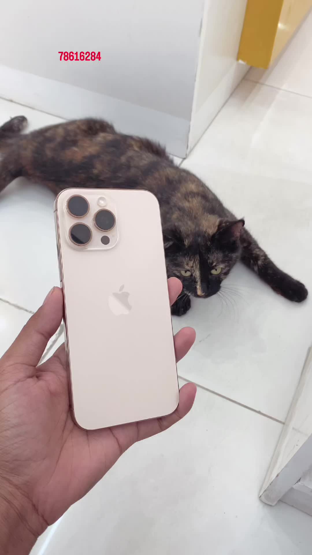 @𝐓𝐞𝐥𝐢 𝐆𝐚𝐝𝐠𝐞𝐭