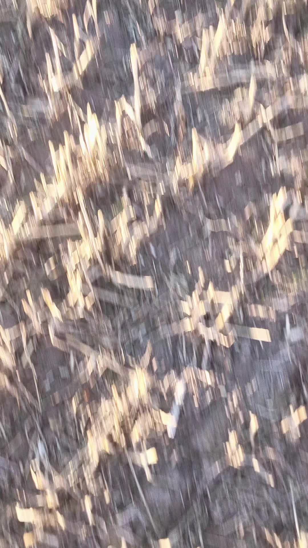 @Lantbruk är livet🚜🤠🌾