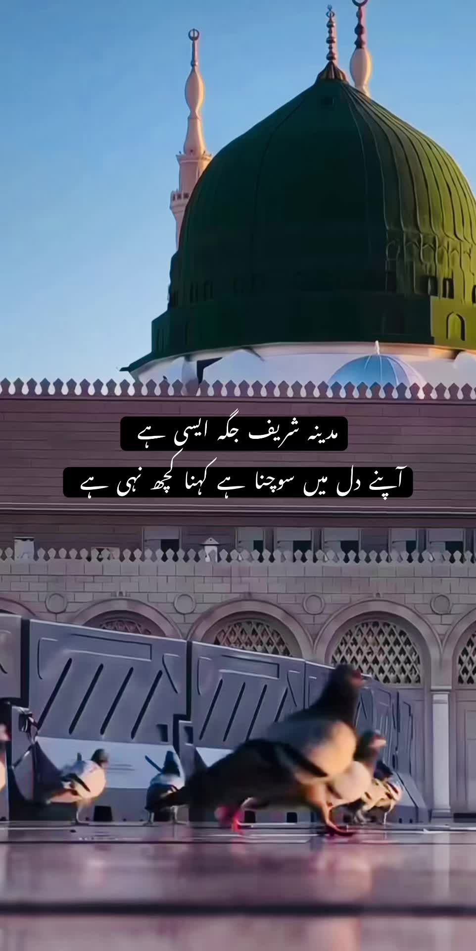 @Islamic Land