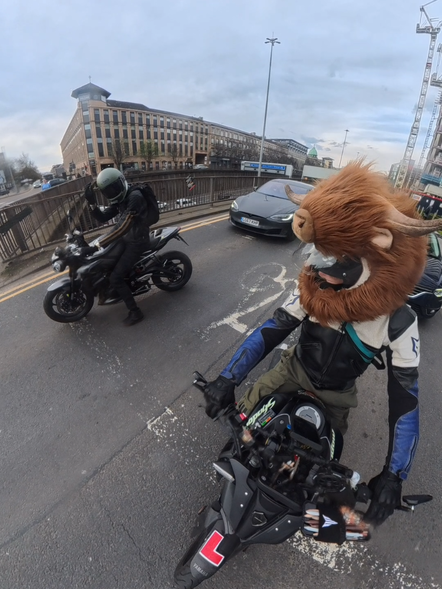 @Highland Cow Rider 🐮🏍