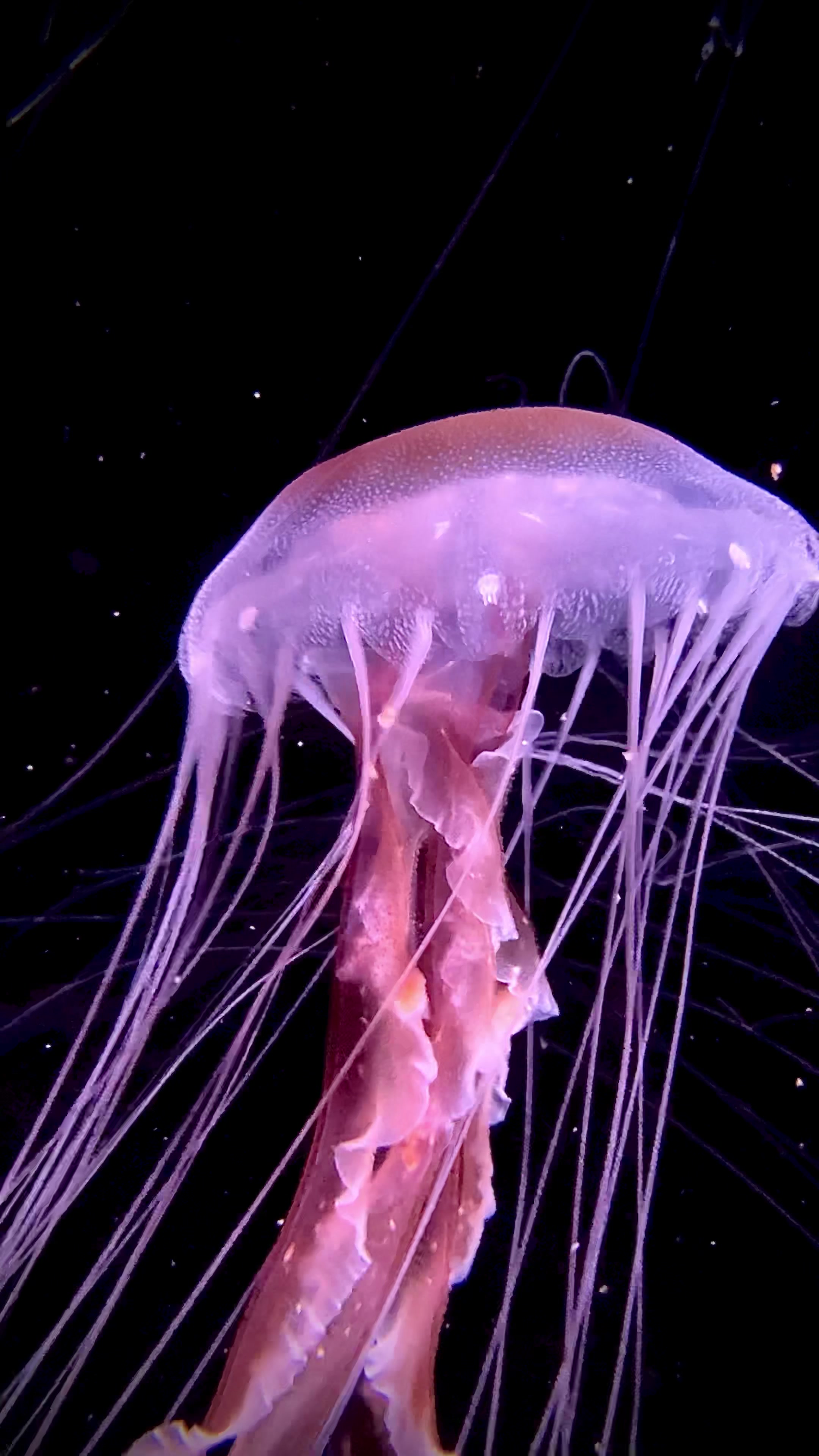 @The_story_of_a_biologist