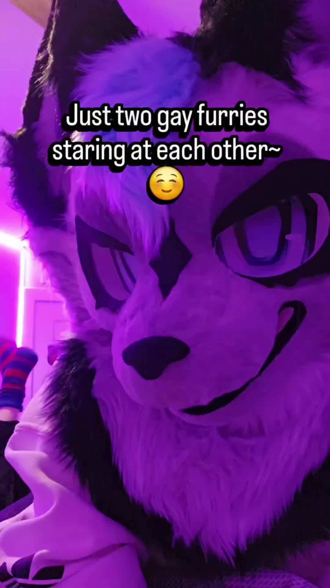 @Maishu Foxx