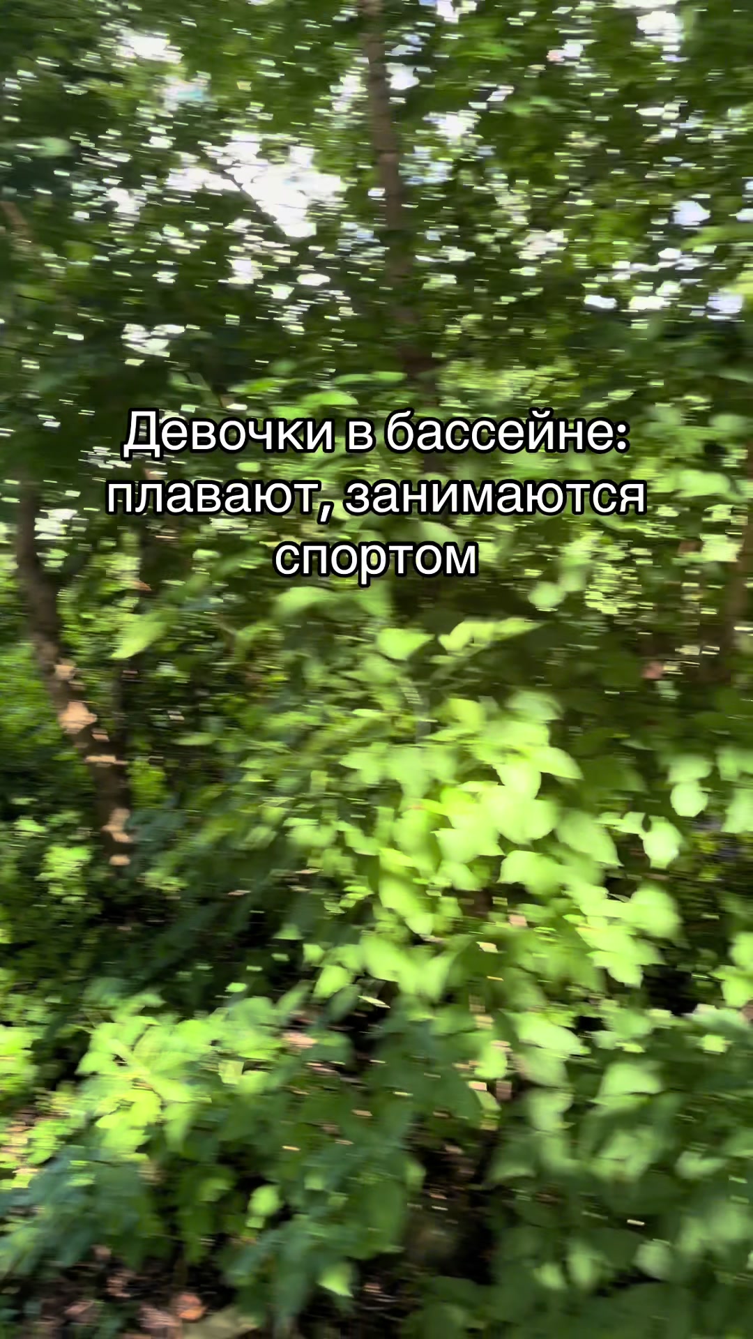 @арсений барбоскин