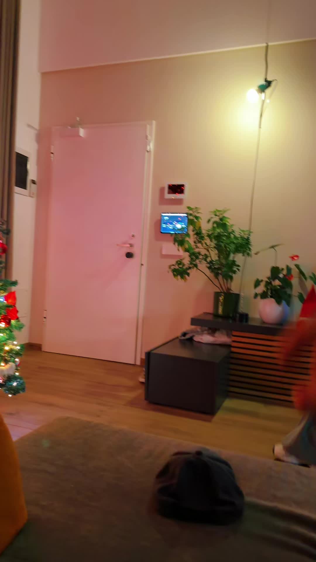 @Aldo Ricci - Conneehome.com