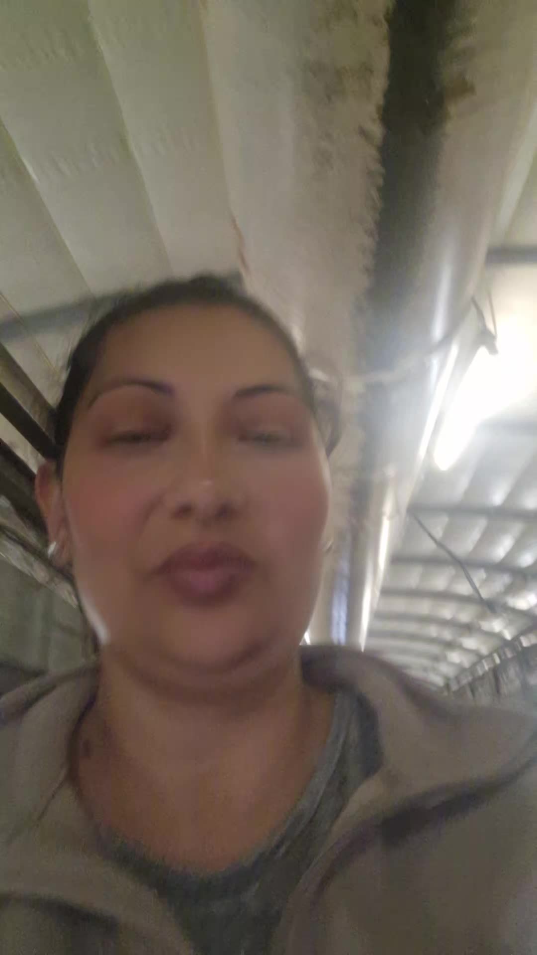@Felicia Grigore6