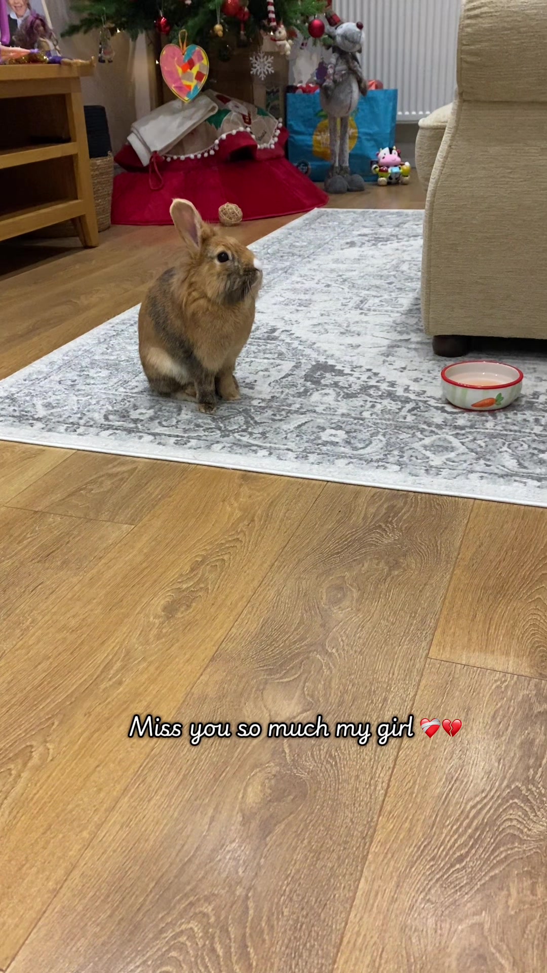 @Marmite🪽Toastie, Nala ♡