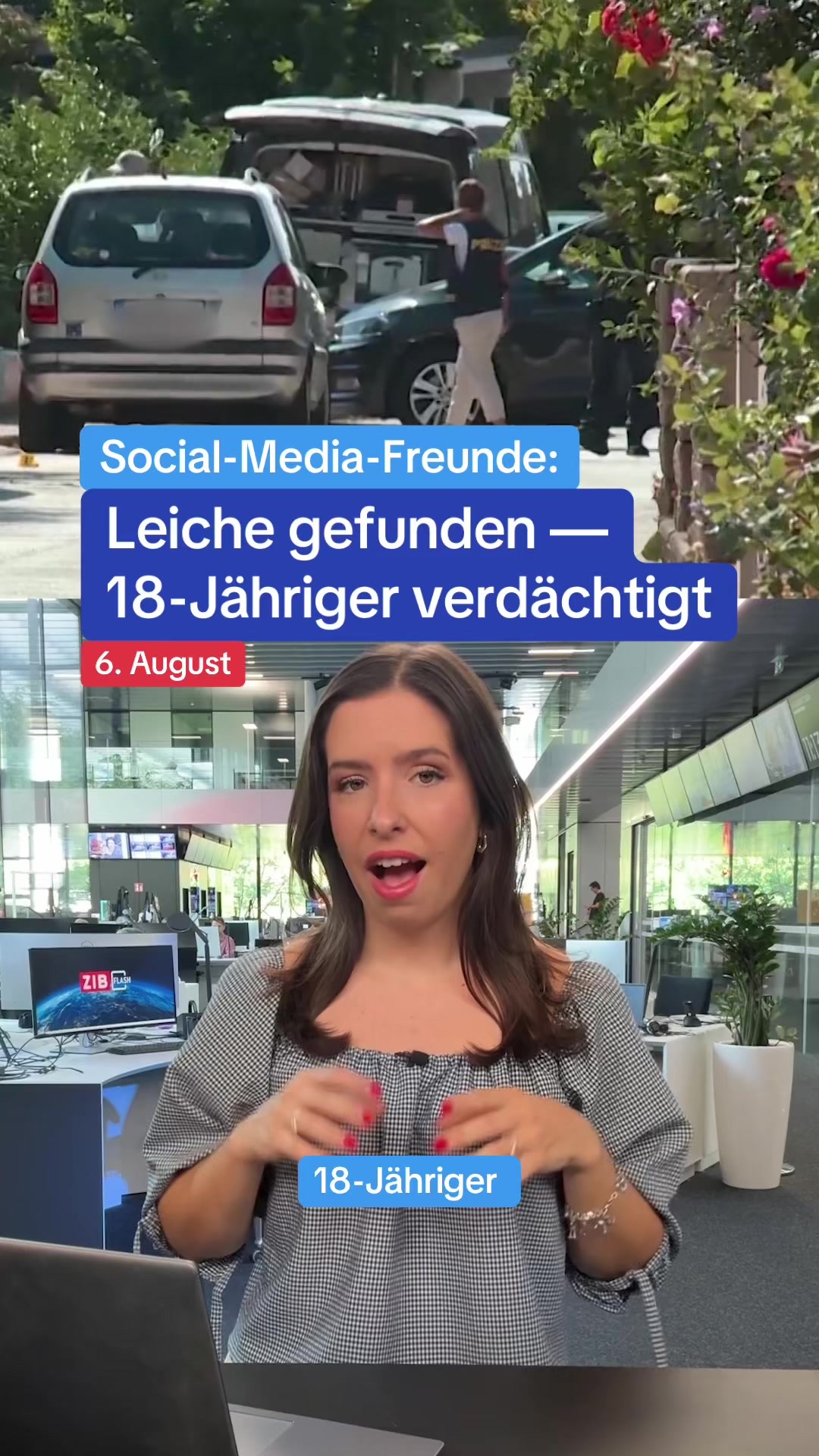 @Zeit im Bild - ZIB