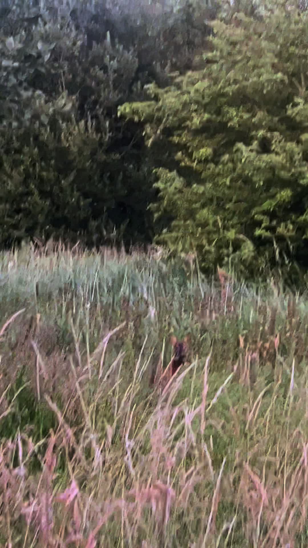 @JKGroundcare