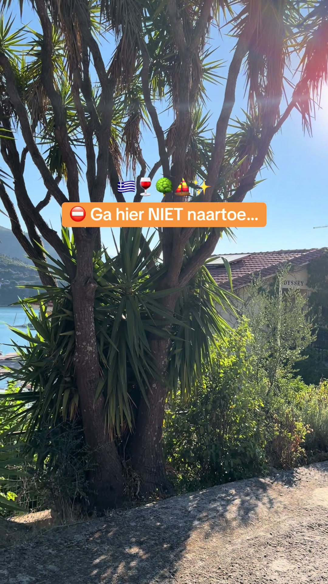 @TravelHunter | Reistips 🧡