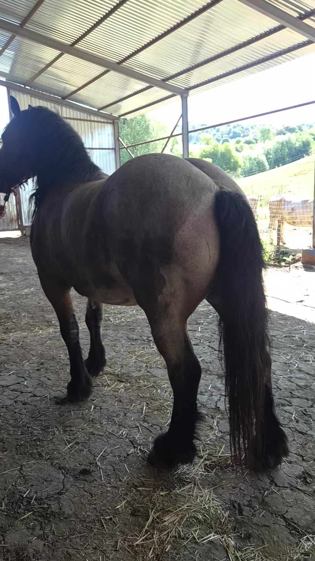 @Bercea_Bercea
