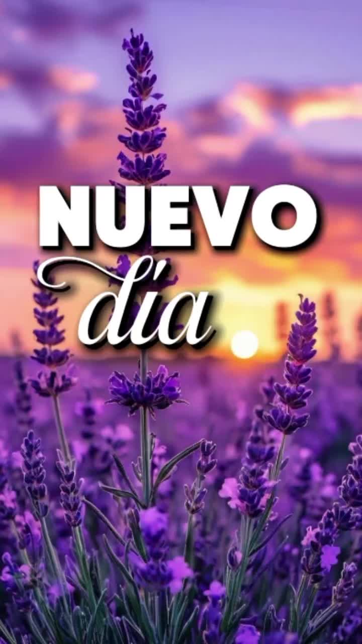 @La Felicidad De Rebeca