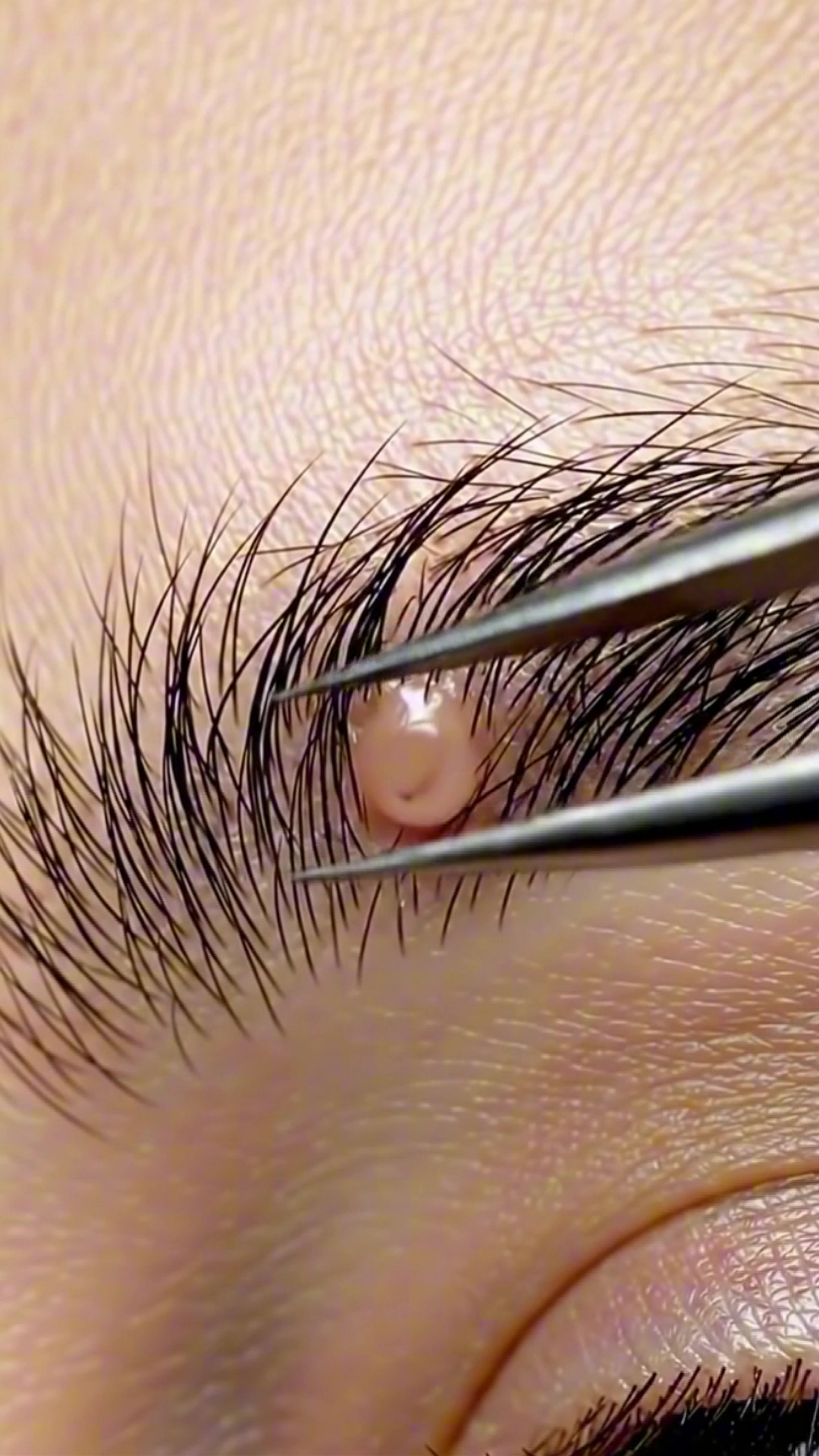 @asmrbeautypro
