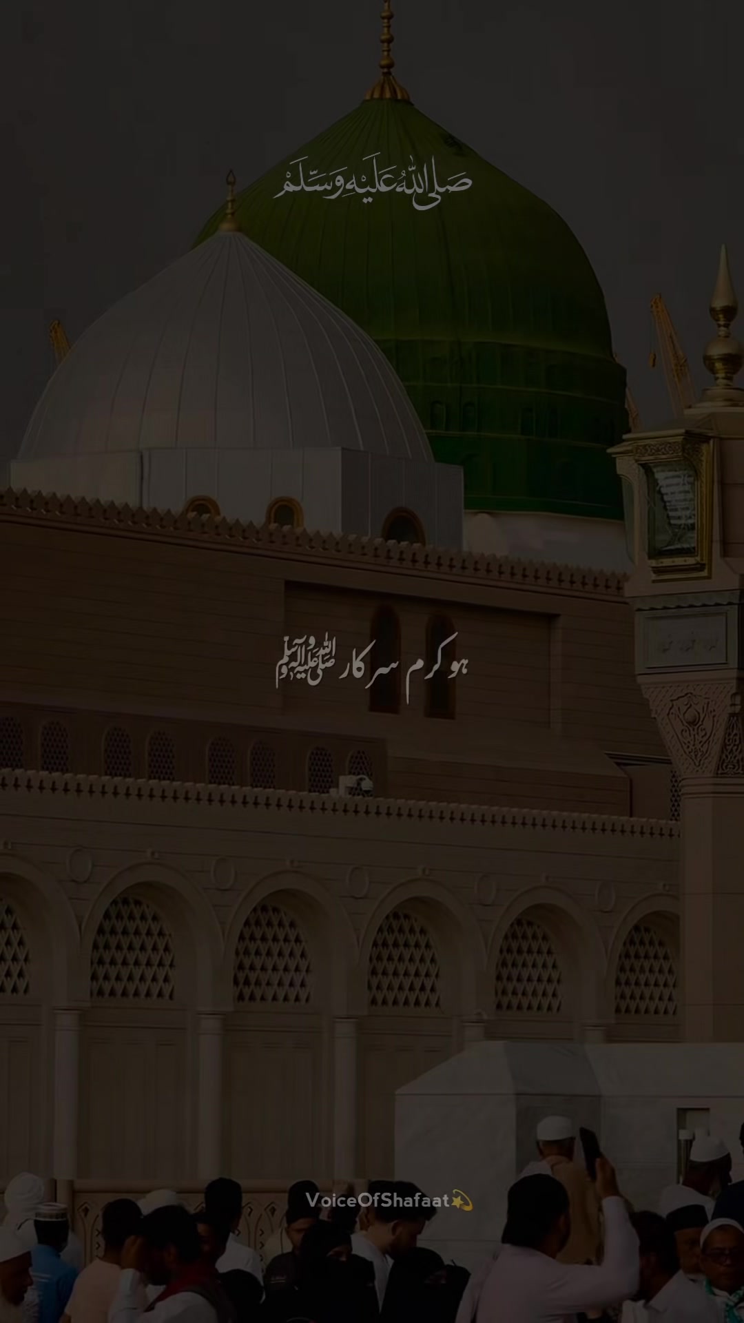 @VoiceOfShafaat💫