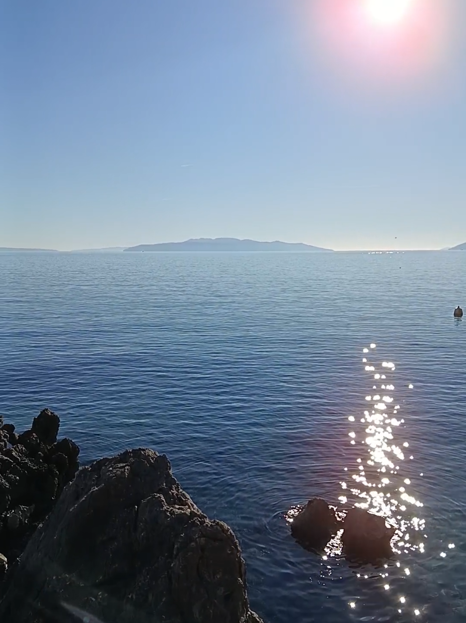 @Marina Grus