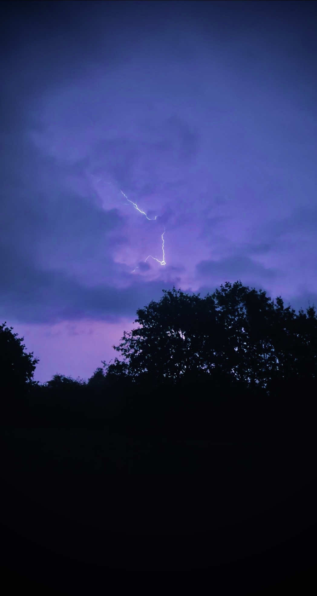 @Liam 💫