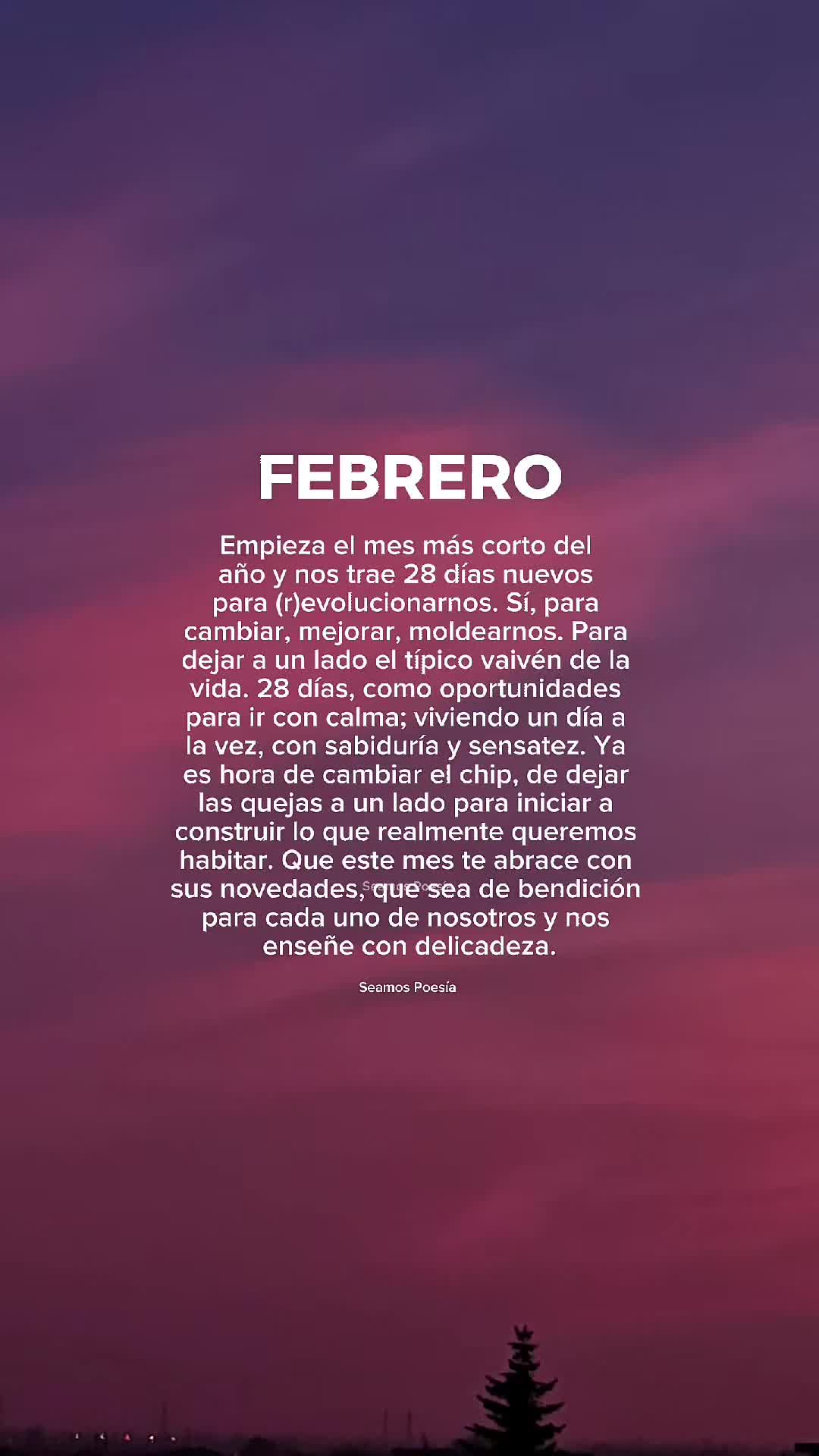 @Seamos Poesía