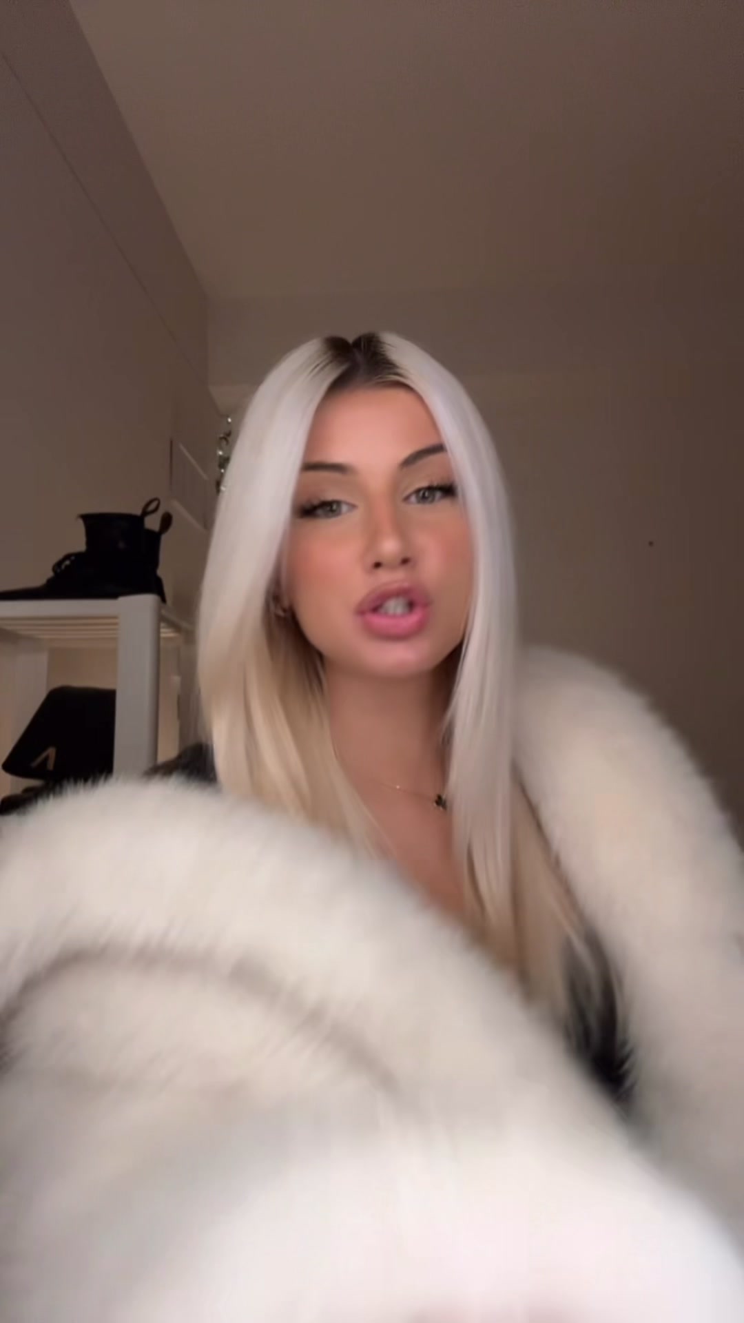 @evelyndallona
