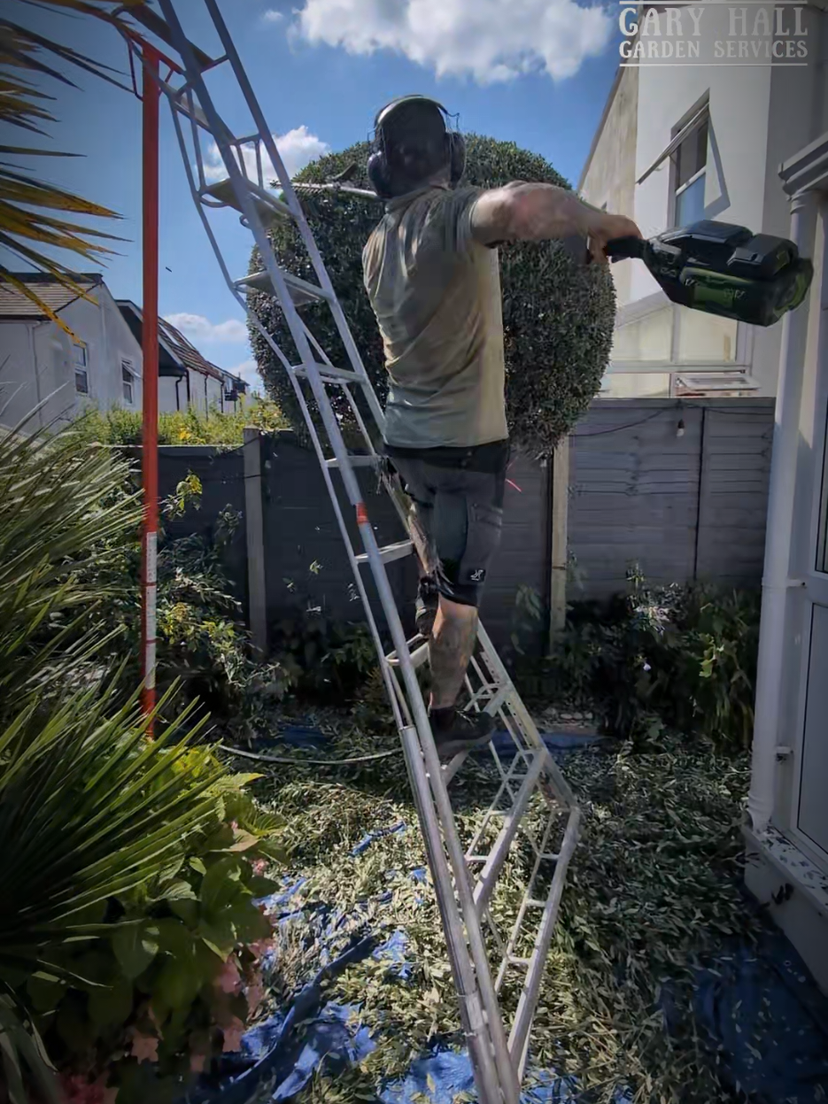 @Gary Hall Garden Services