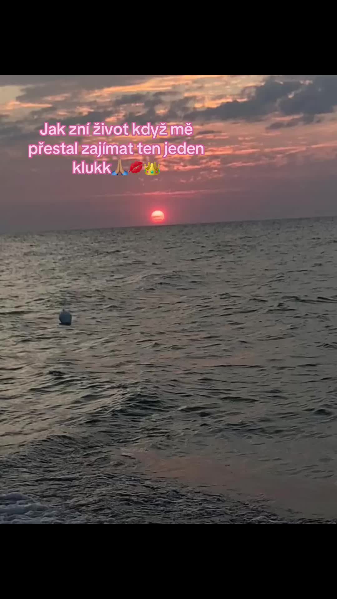 @vikina