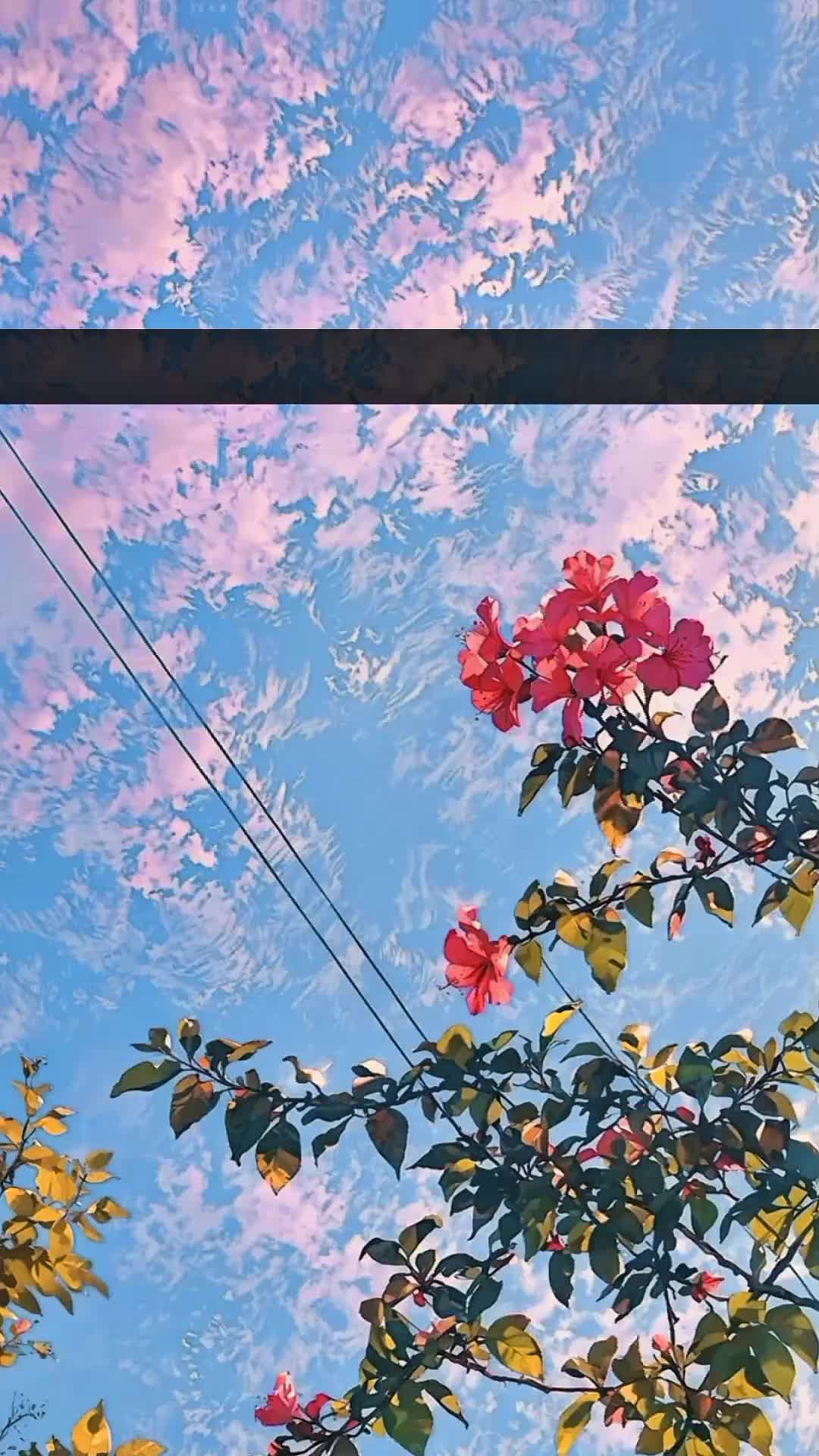 @𝙍𝙞𝙯𝙫𝙞 ♡