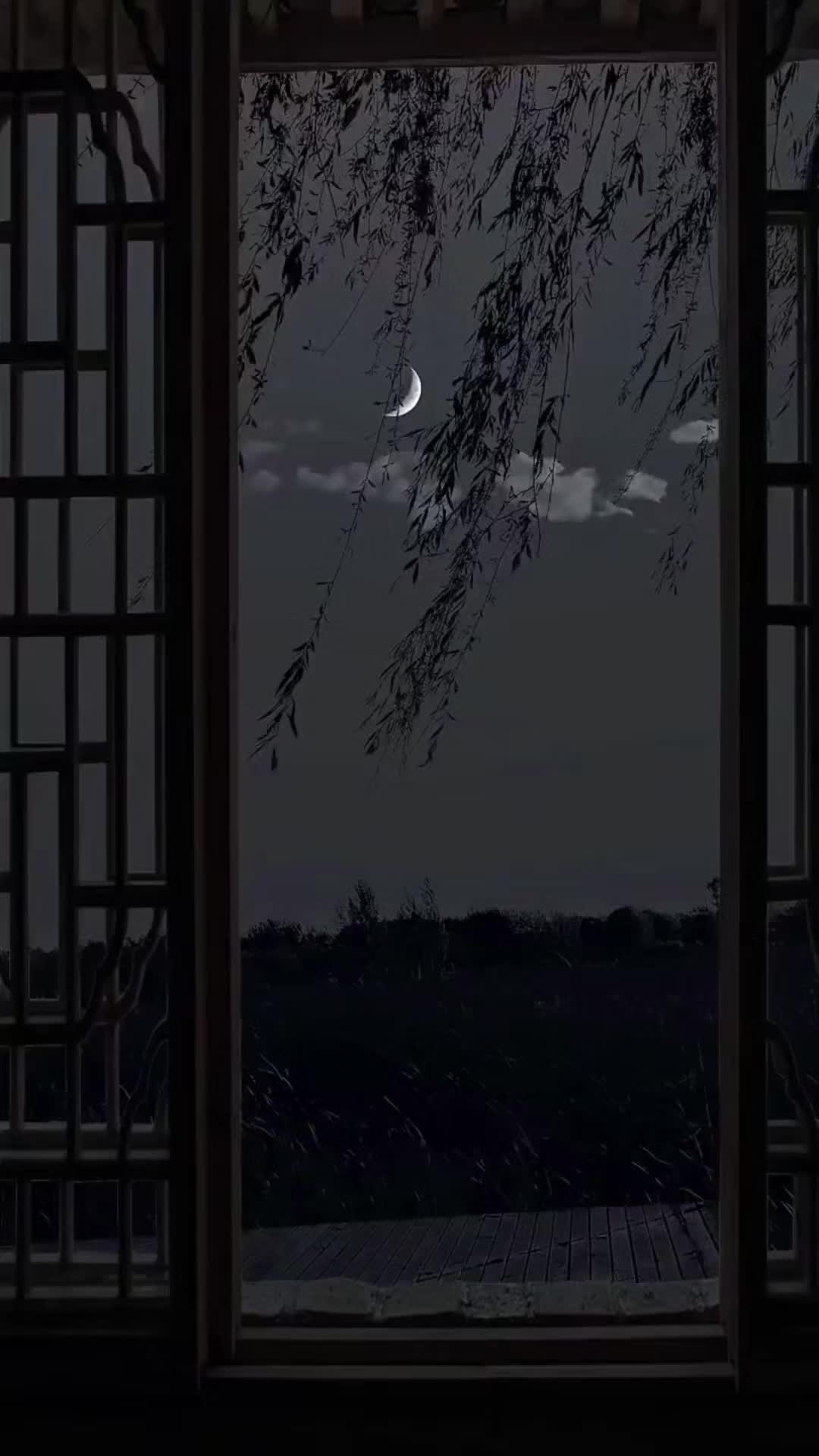 @ᗩαѕυ Ɩуяιcѕ ..
