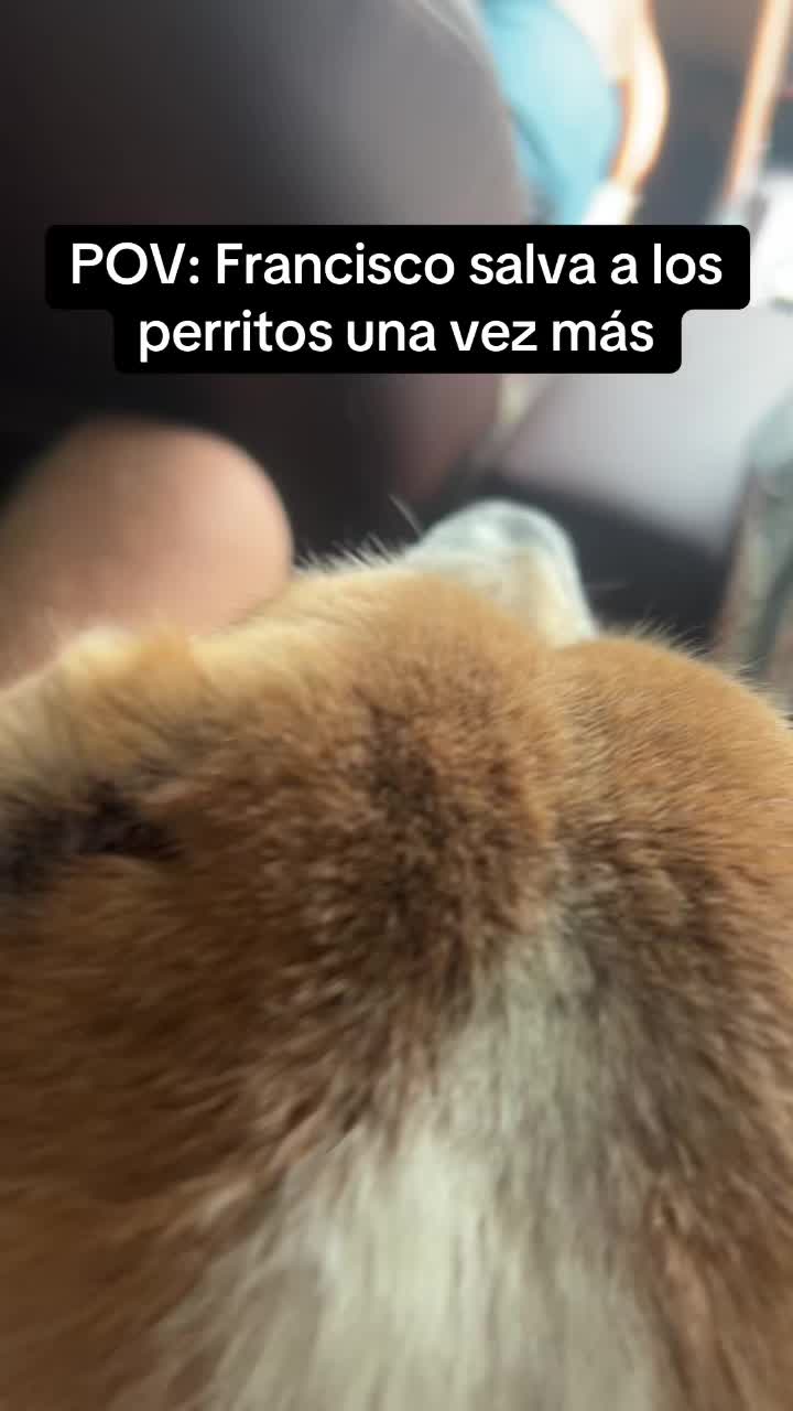 @Tierra libre