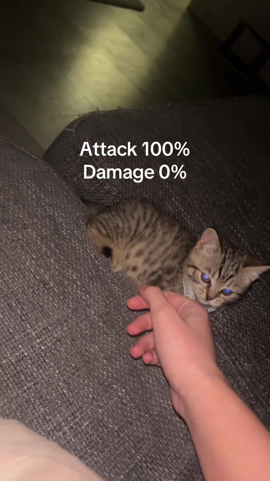 @Bri. 💅🩷
