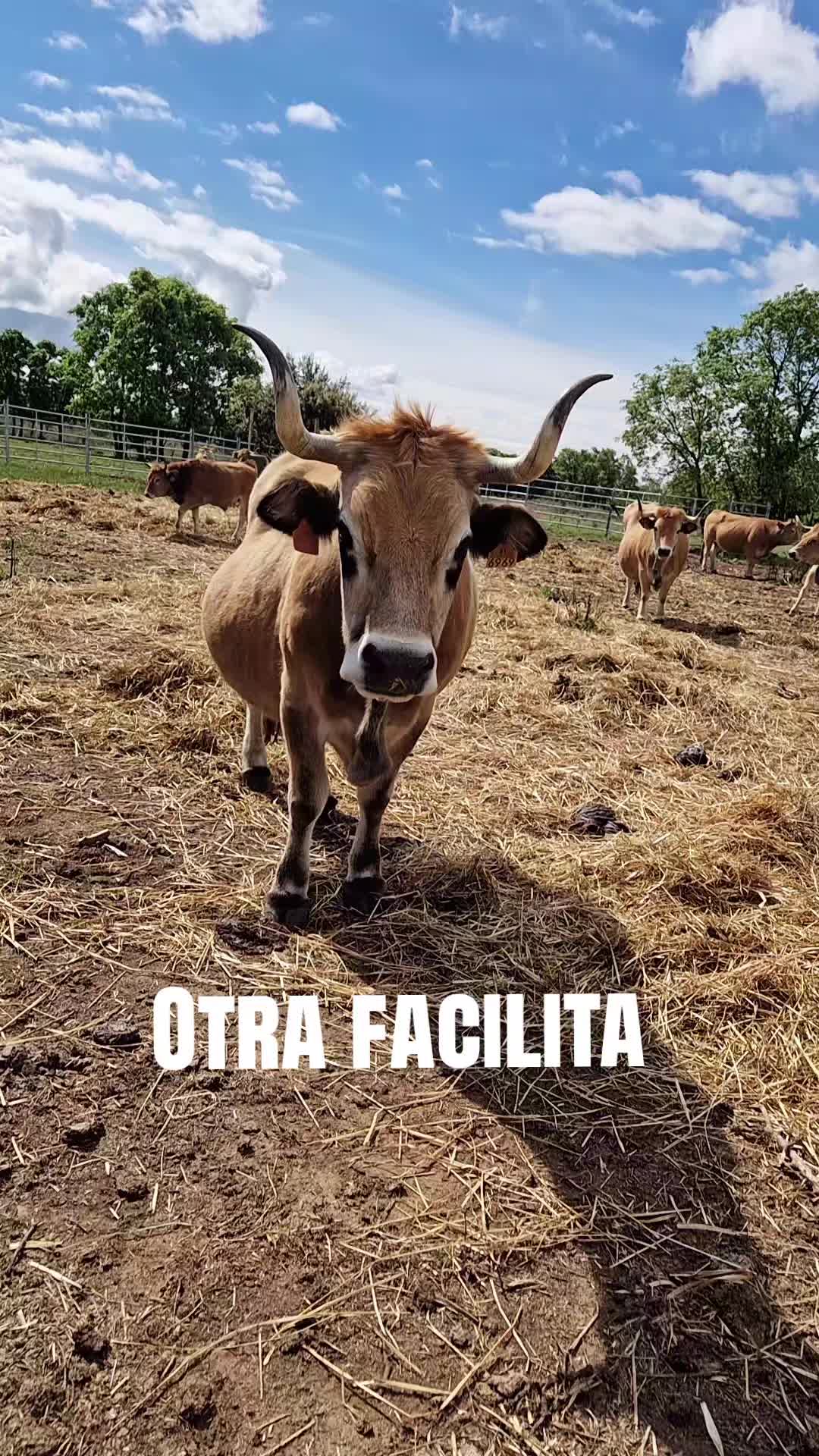 @Ari La Pastora