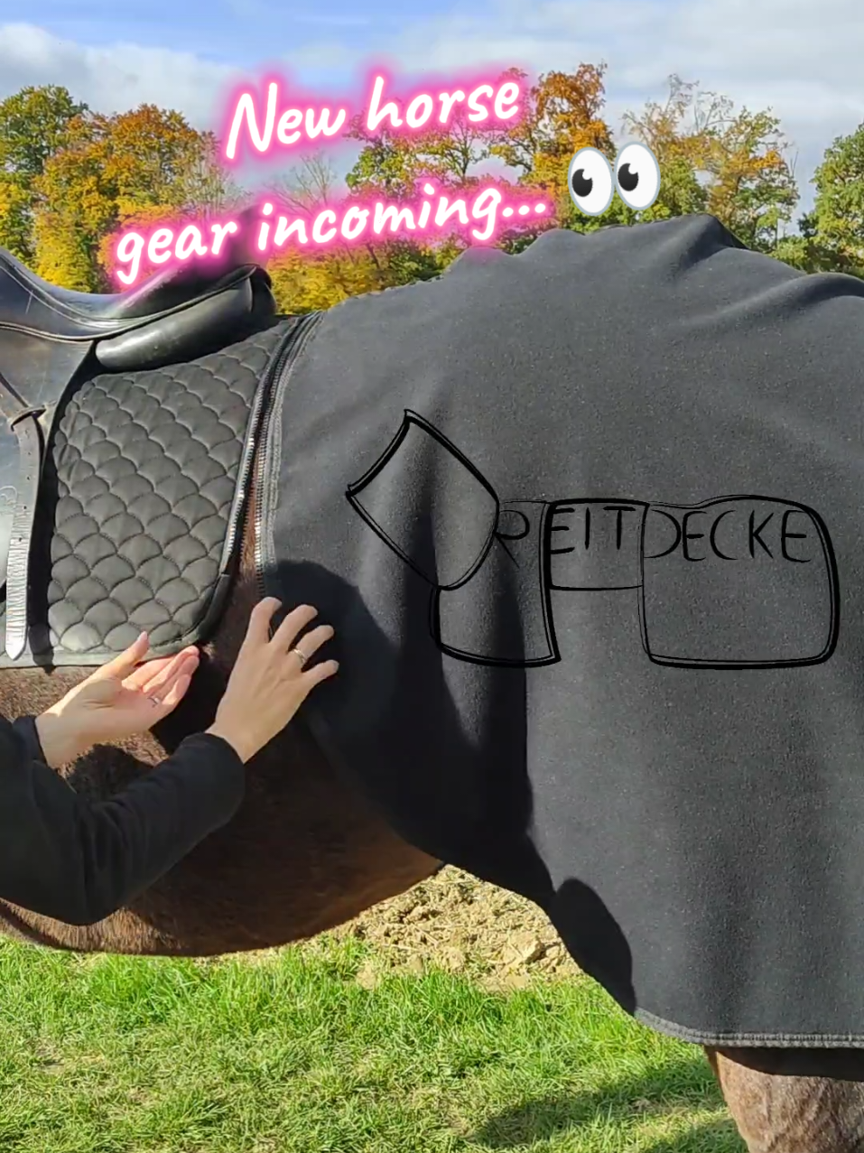 @Die Reitdecke
