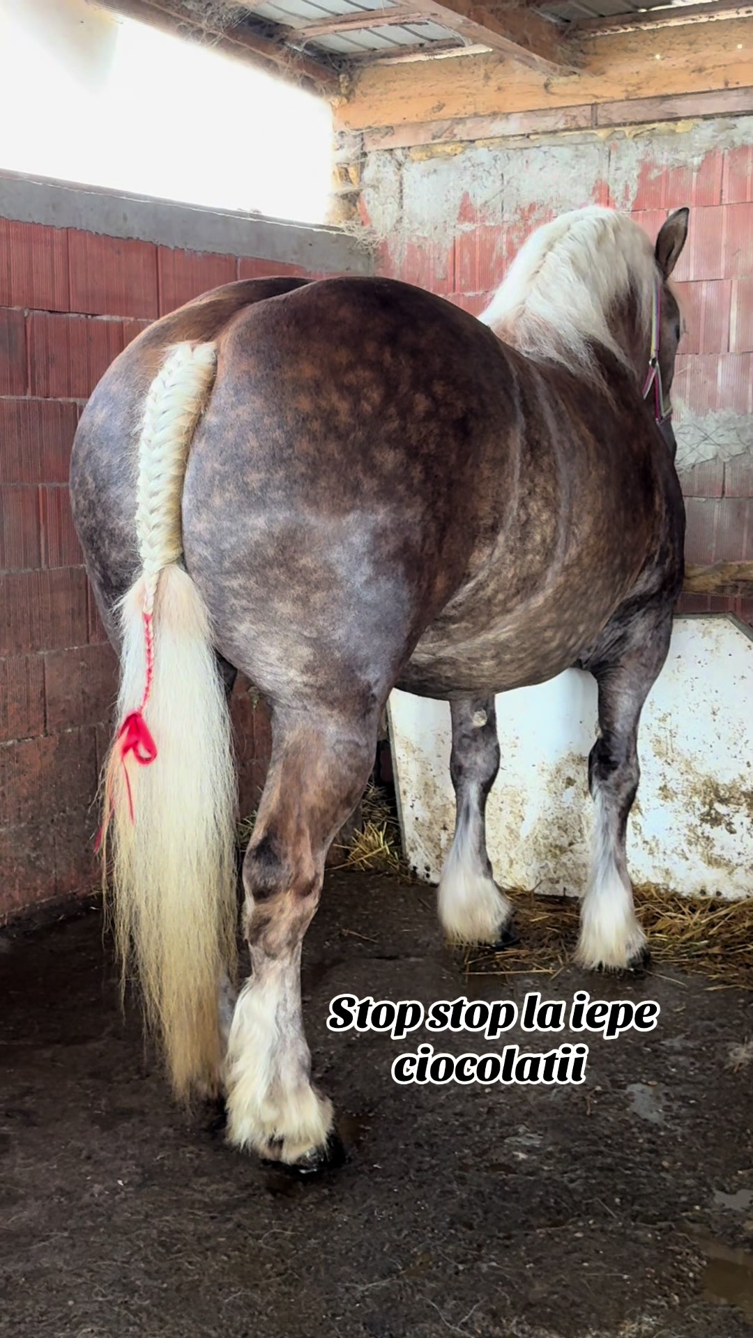 @🐴Spartanu🐴