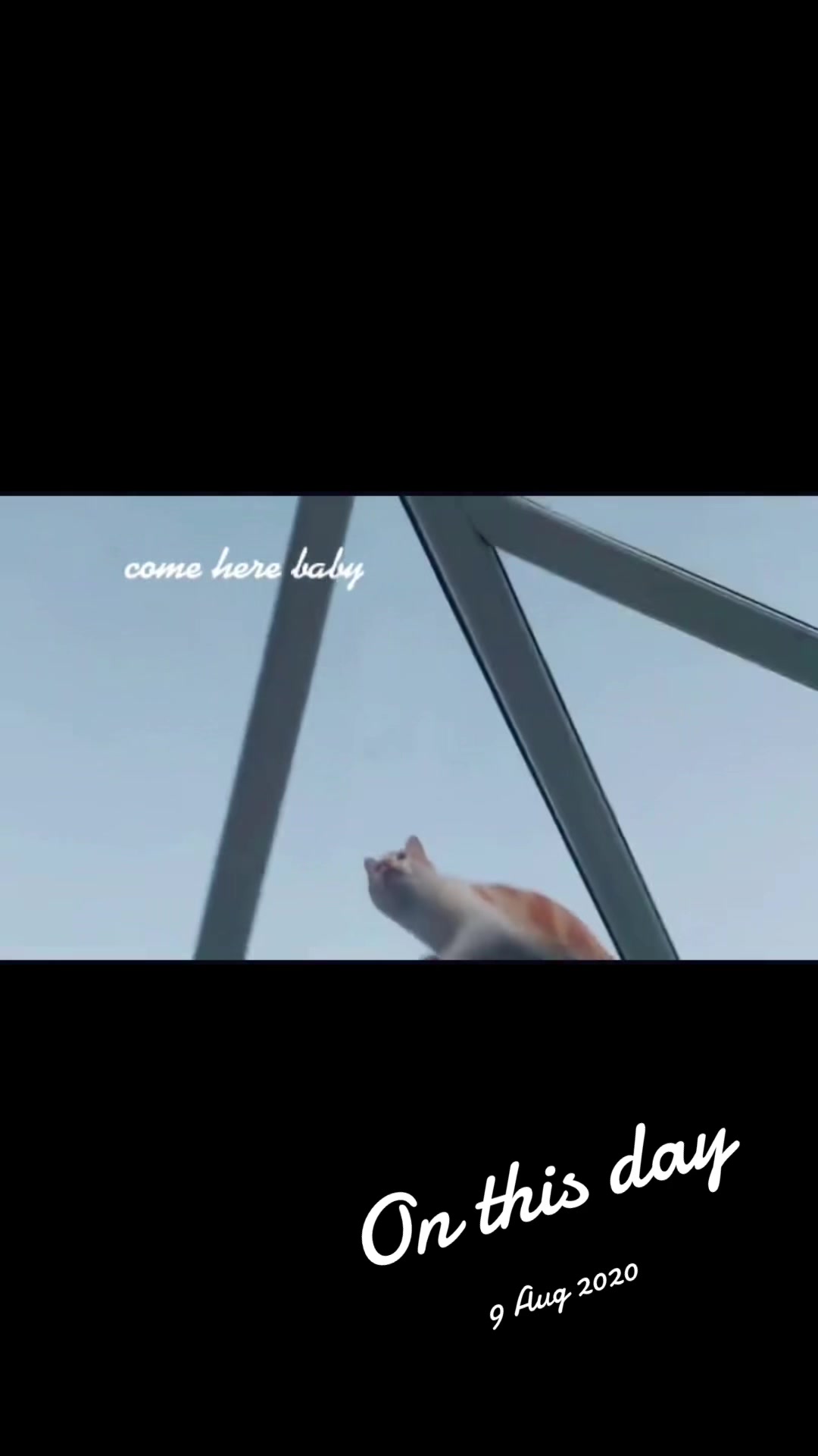 @andyshels