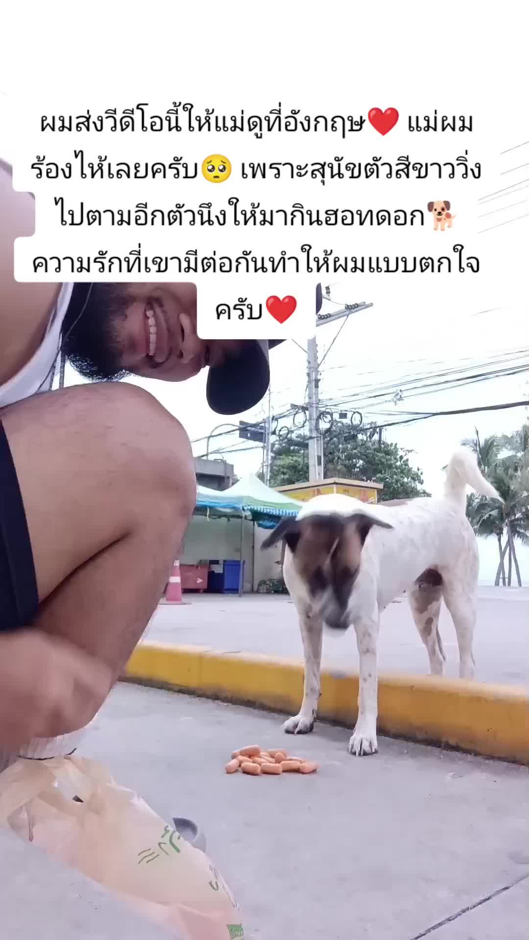 @gymlifeไทย