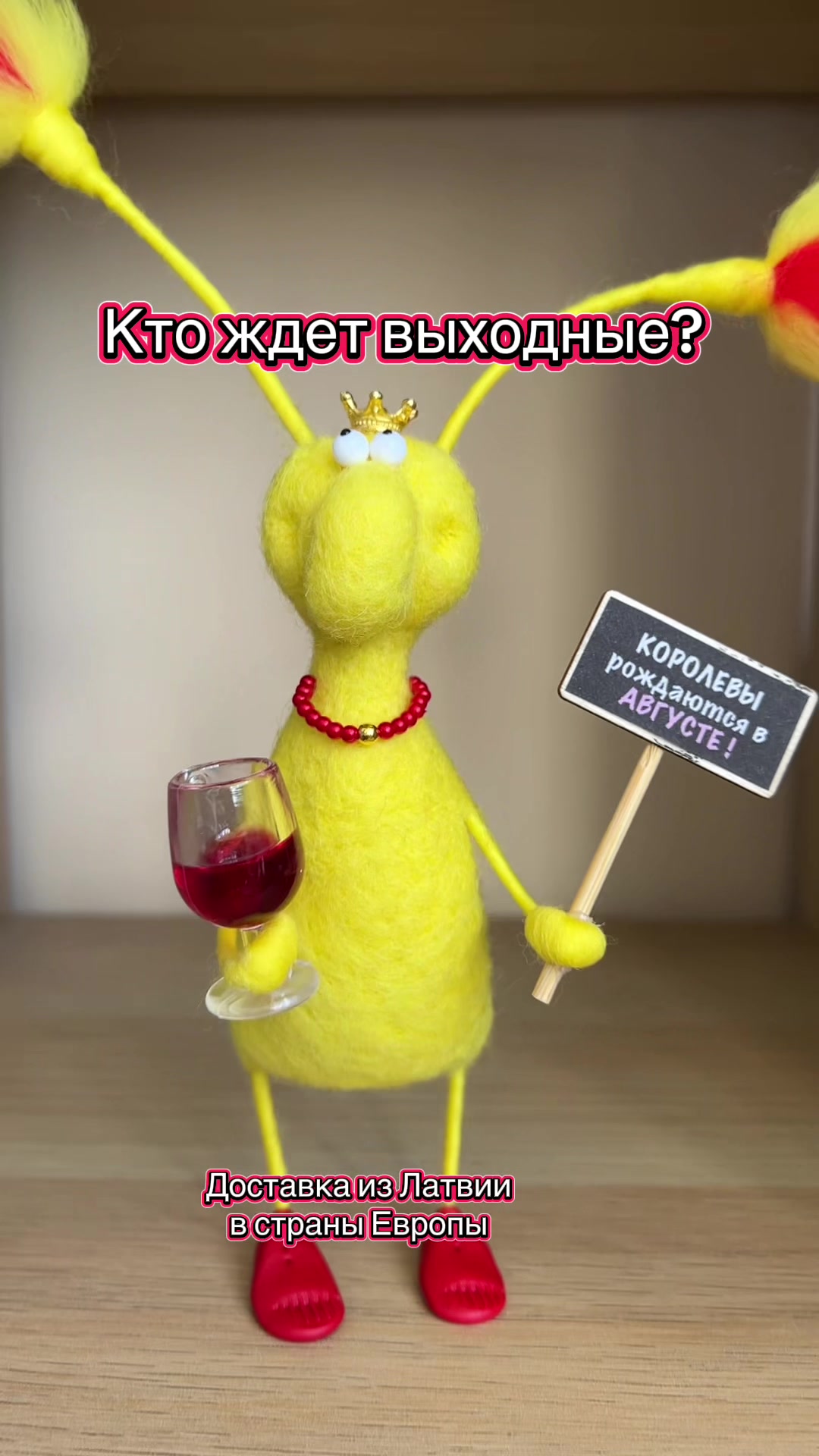 @Таракан женский обыкновенный