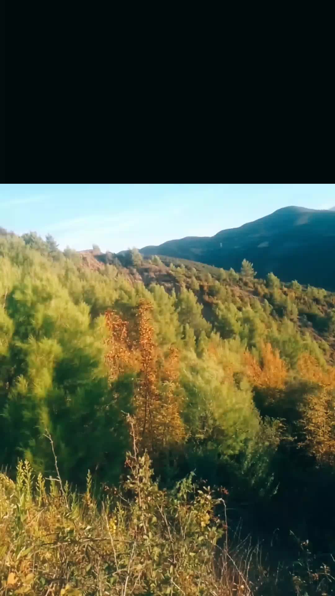 @Arianitët2 kula