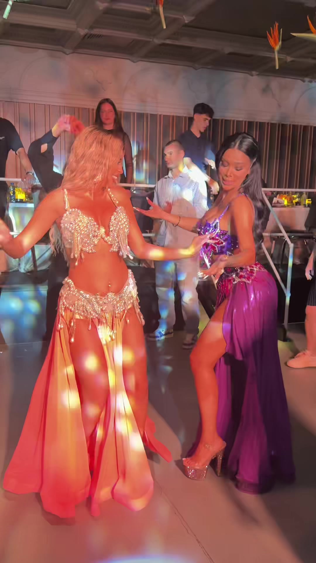 @Bianca Gabriela | Bellydance