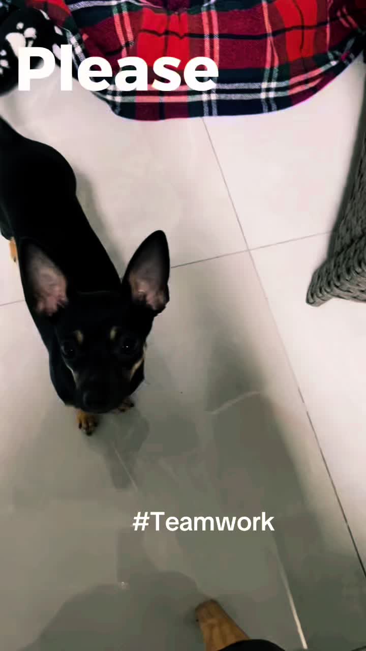 @Mo&Gi Life 🐾❤️🥰