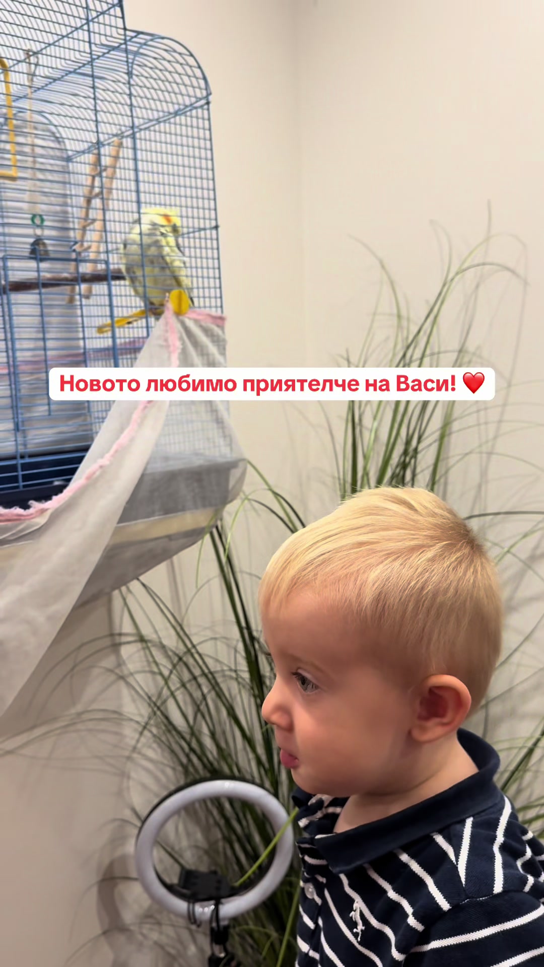 @dimi.bukova
