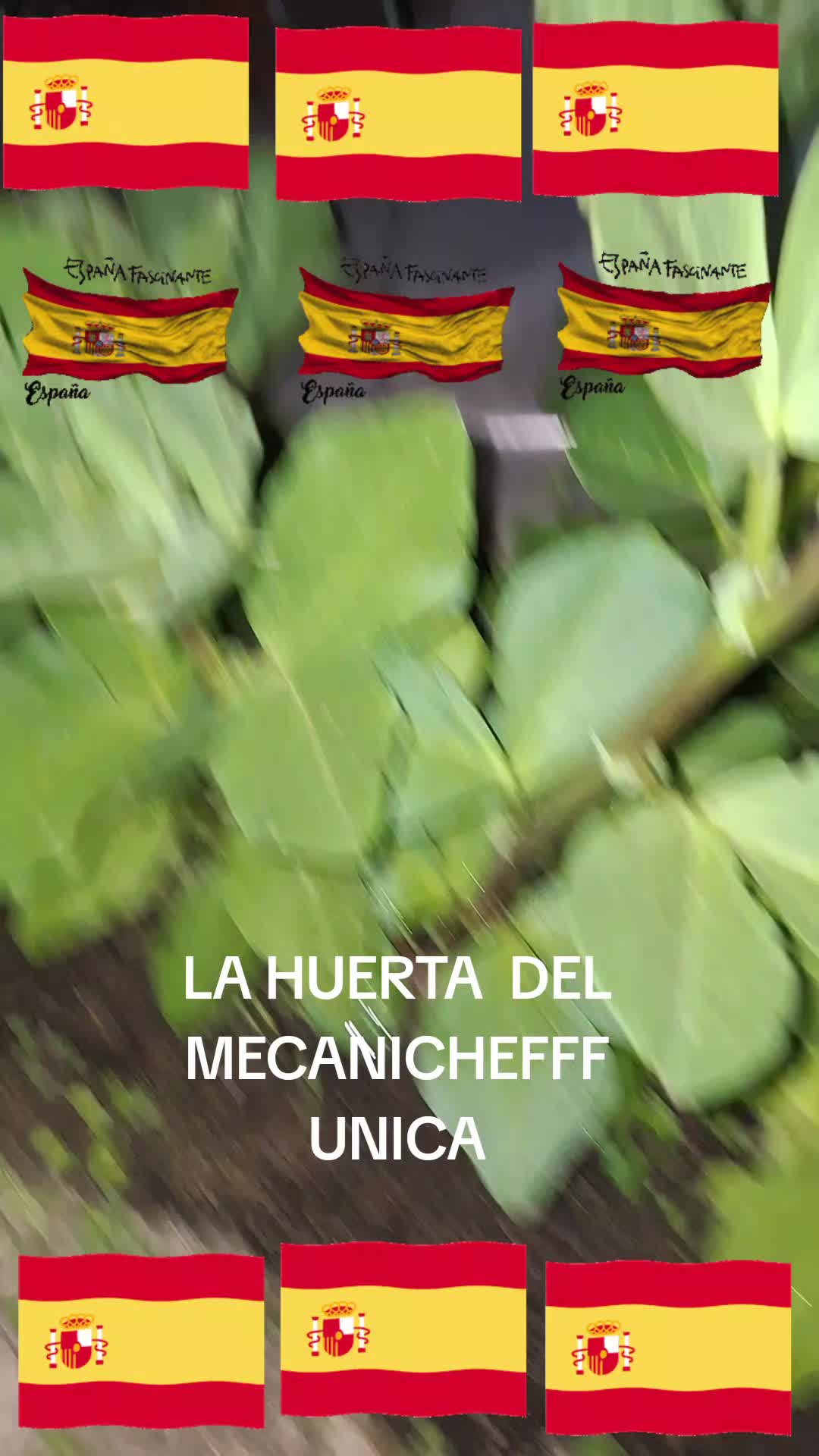 @Elmecanicheff@gmail.com
