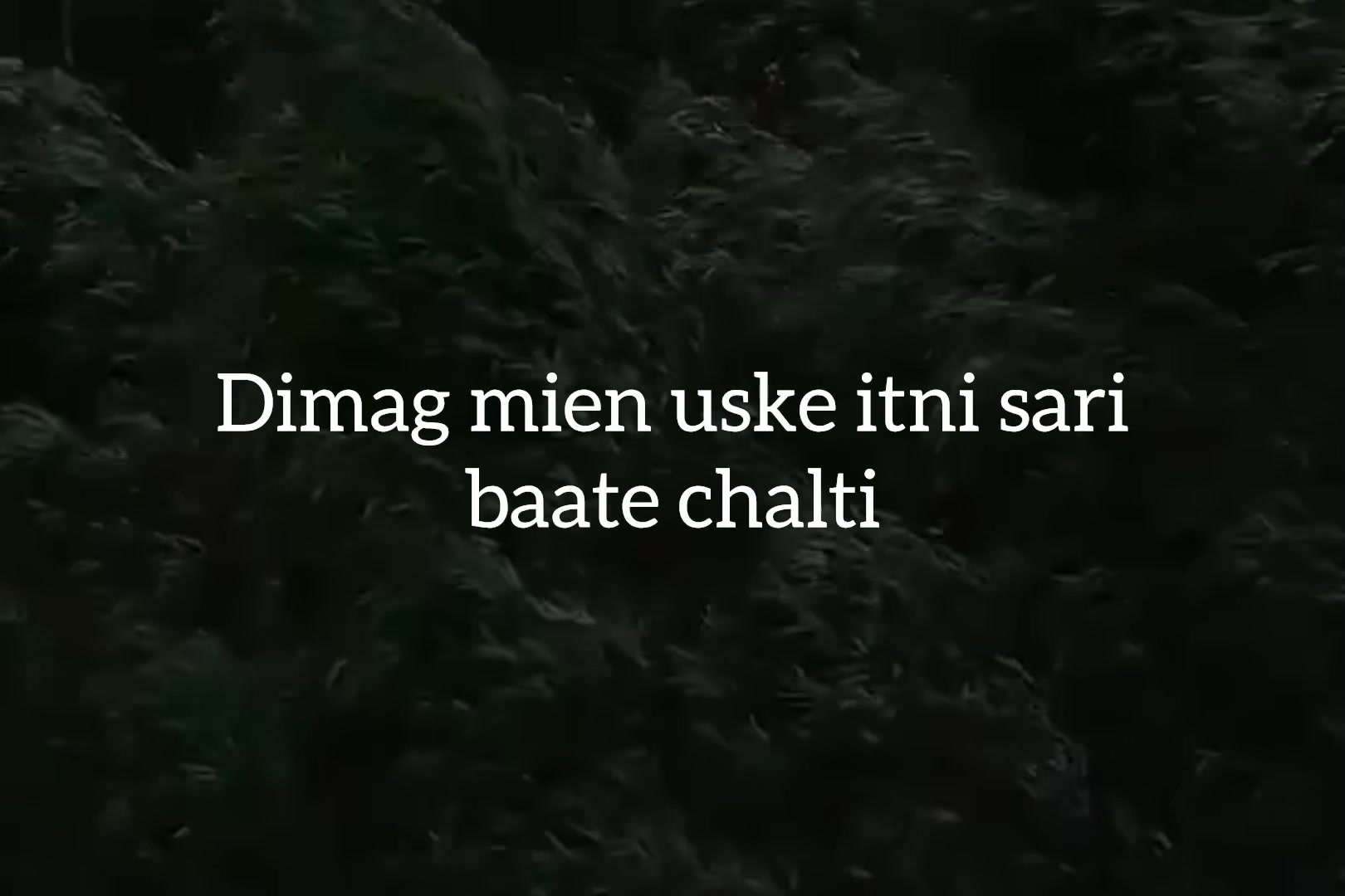 @ʟᴏꜰɪ ᴅʀᴇᴀᴍꜱ