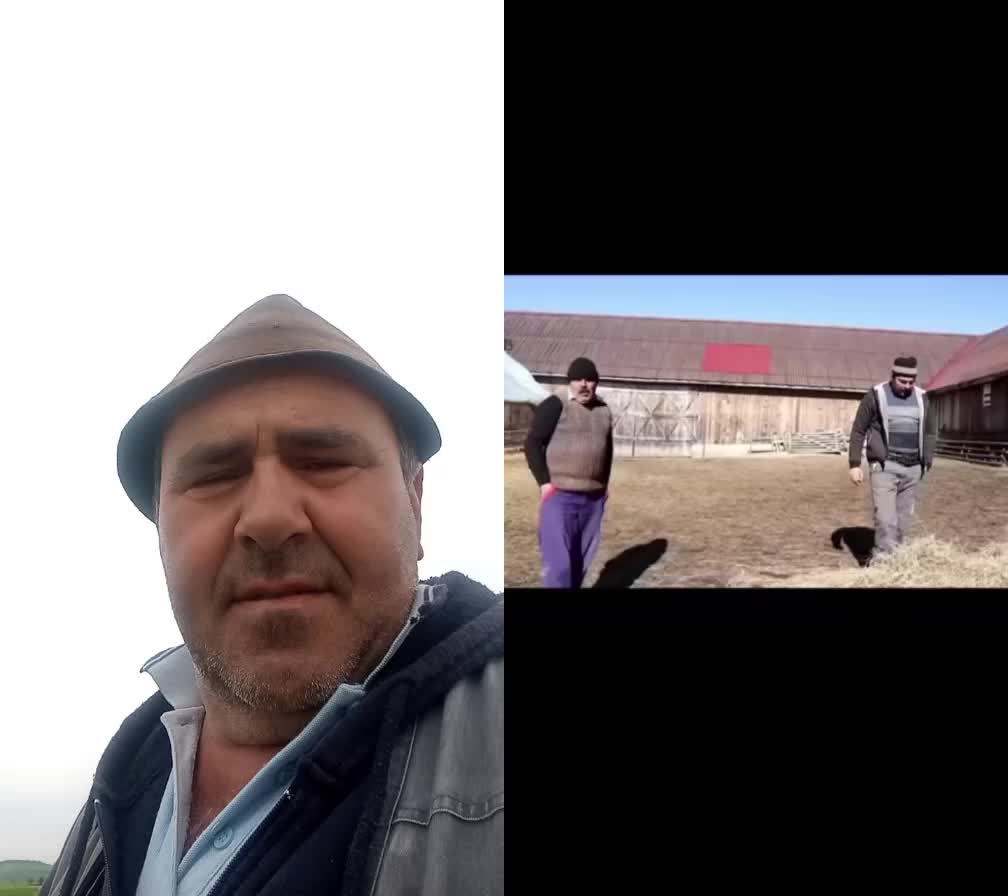 @Claudiu Bistreanu