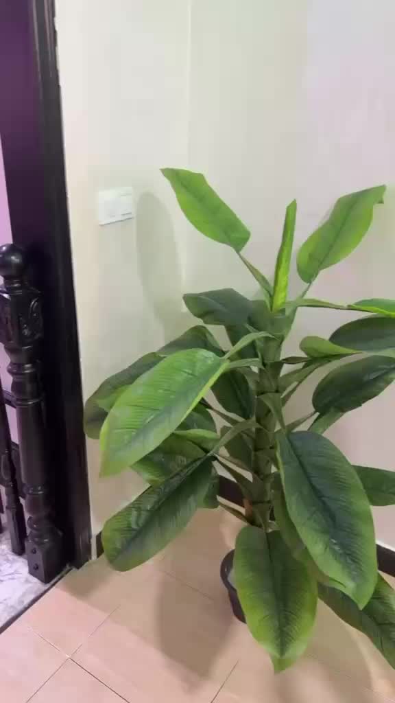 @Najat 8888