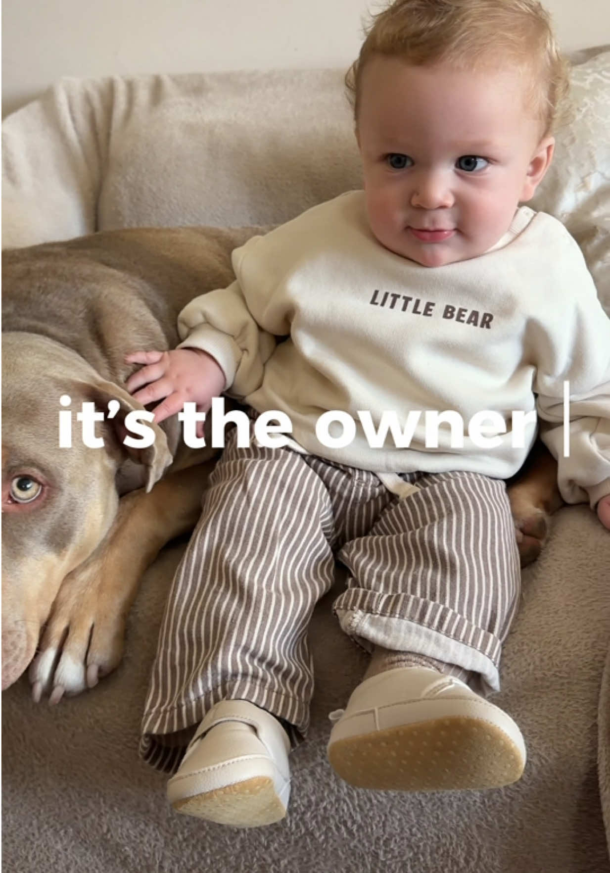 @danandthebabies🤍