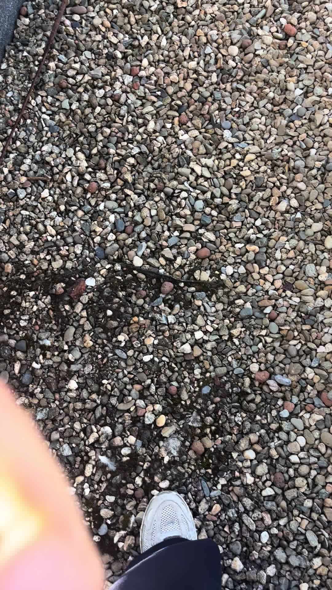 @Златиииик