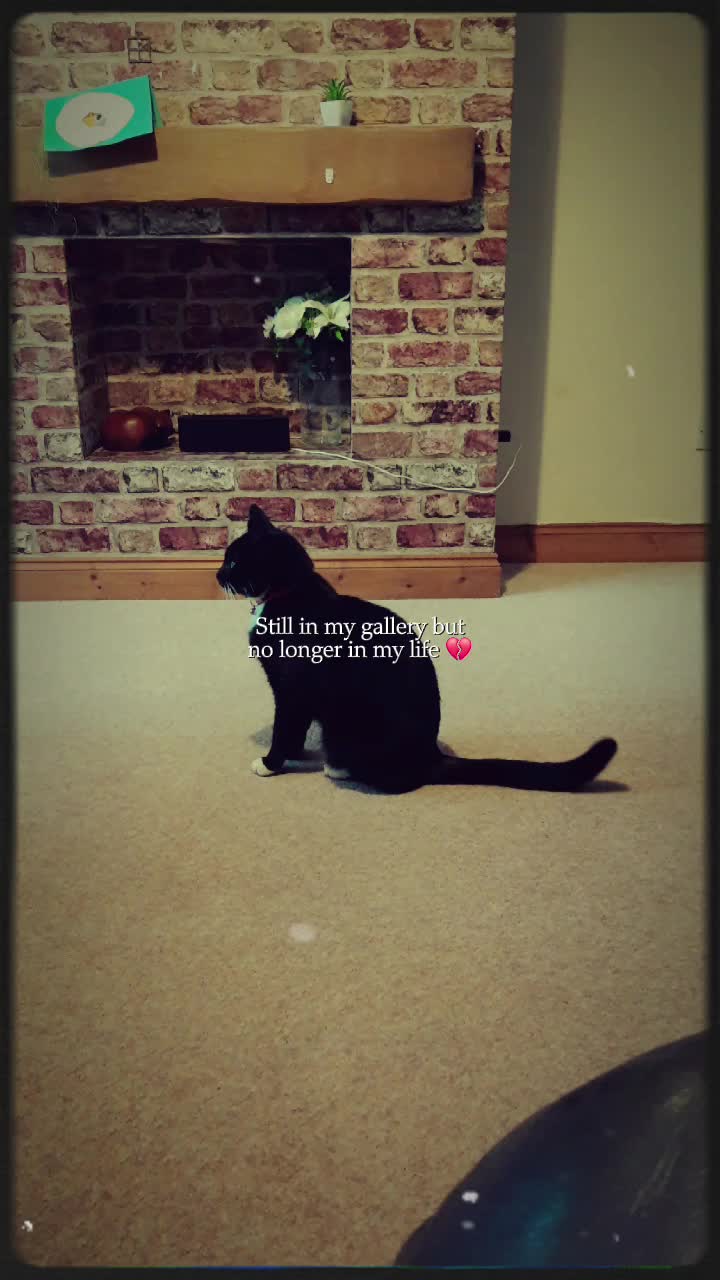 @^AR^